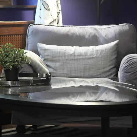 Ambassador דירה *